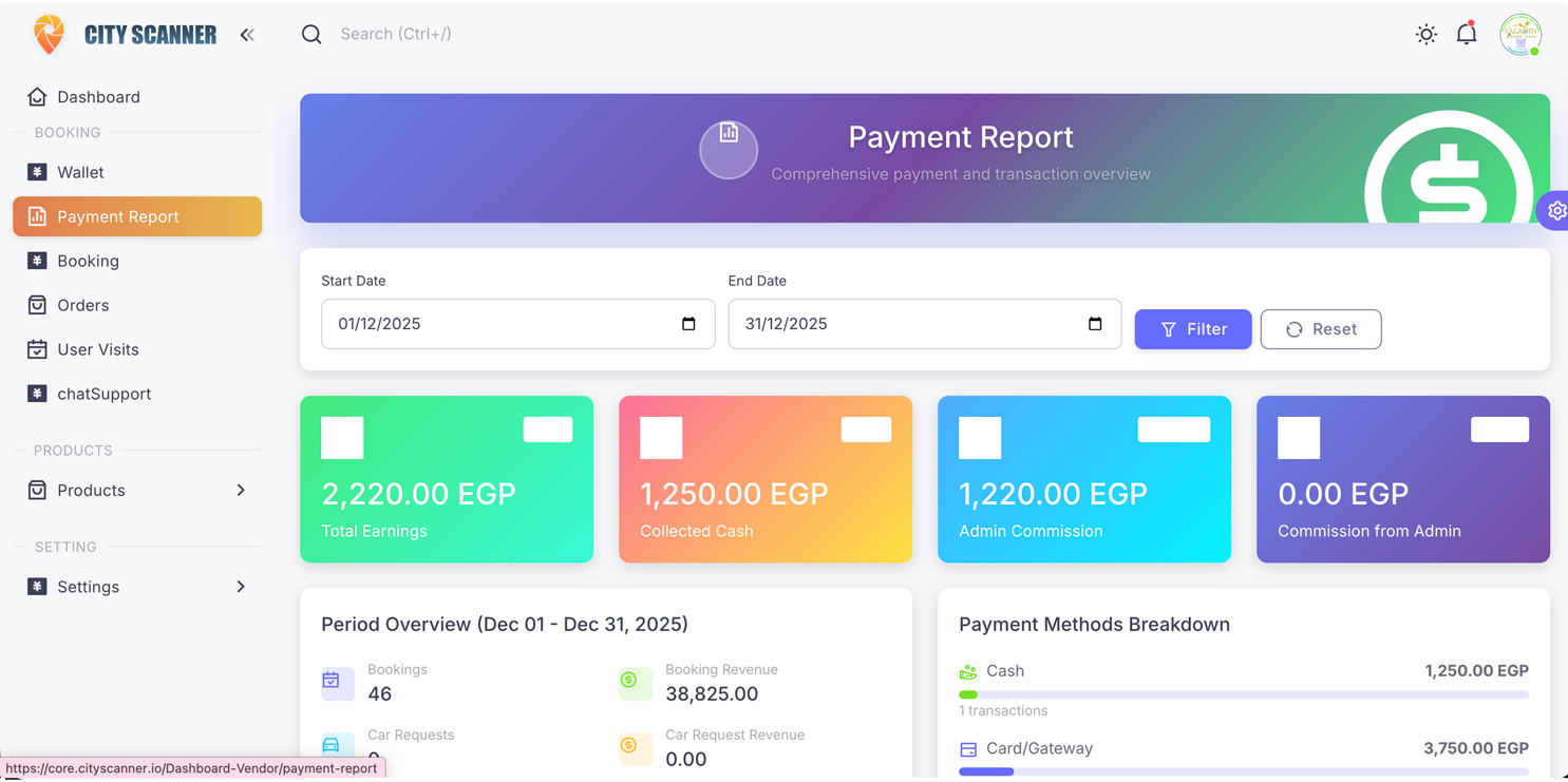 Payment Report Page